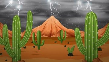 lluvia en el desierto